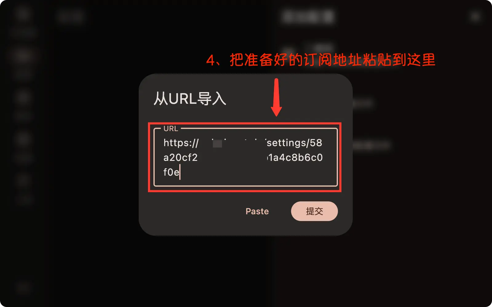 FlClashX 导入配置3
