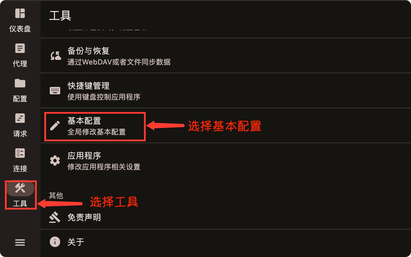 FlClashX 启动